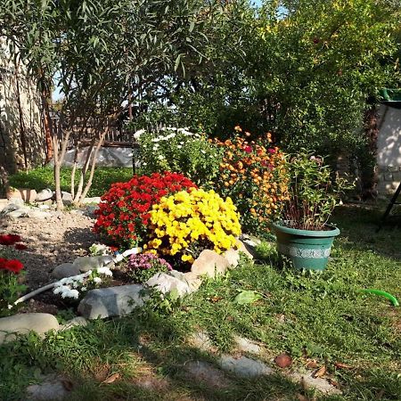 Old House Apartment With Garden Area Mtskheta Exterior photo