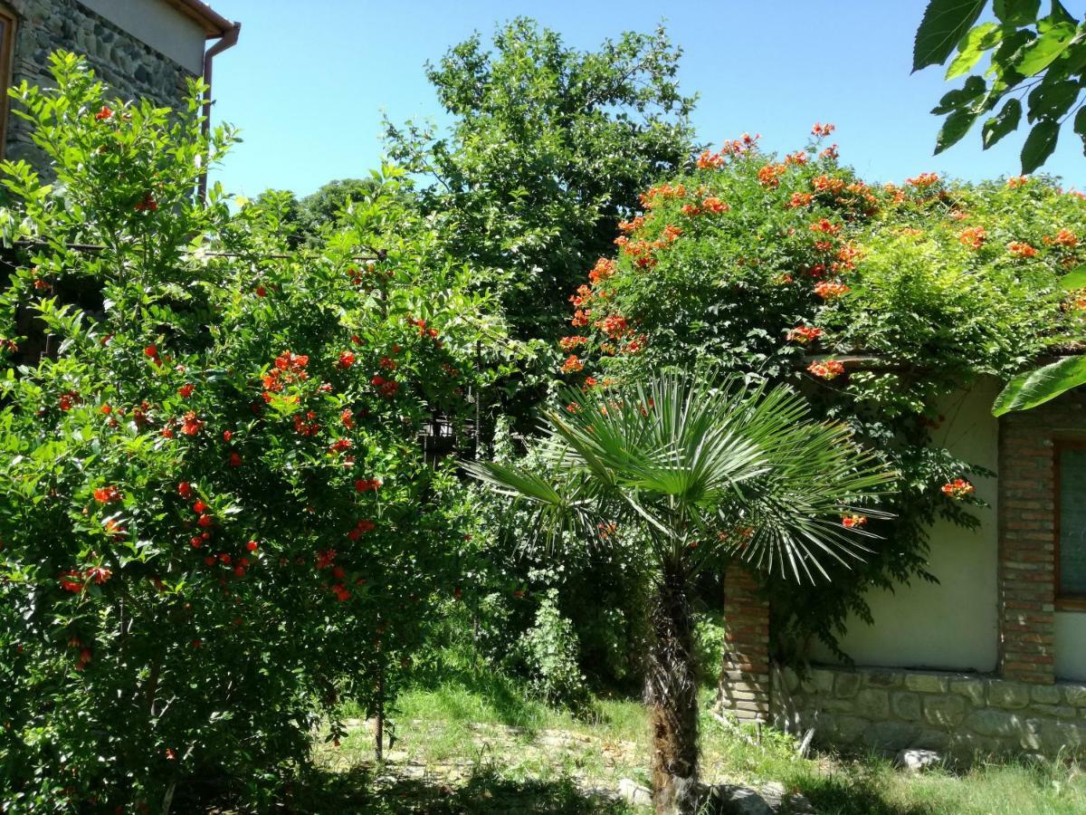 Old House Apartment With Garden Area Mtskheta Exterior photo